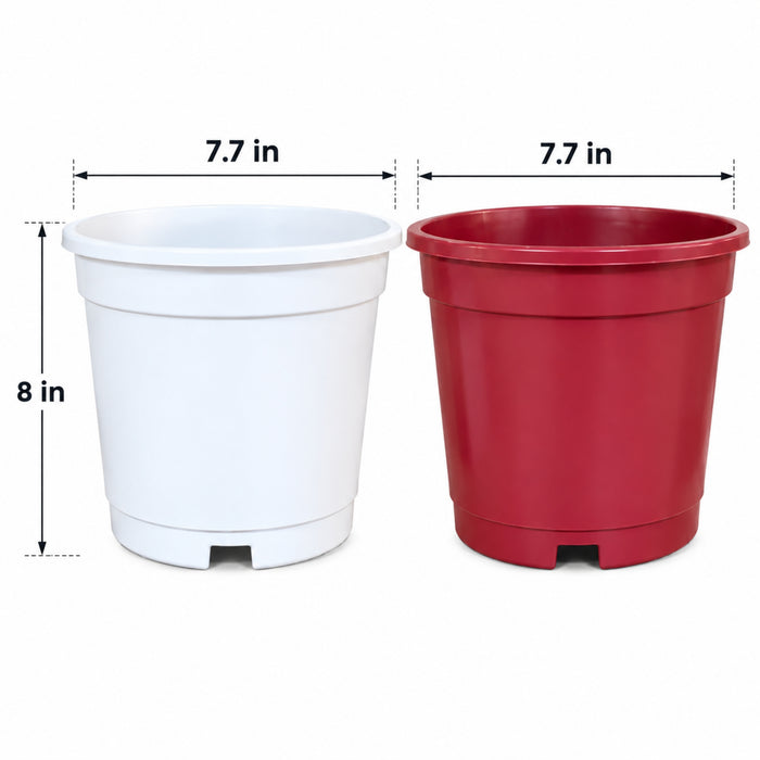 8 Inch Plastic Plant Pots Set of 2 – Decorative Indoor & Outdoor Garden Planters