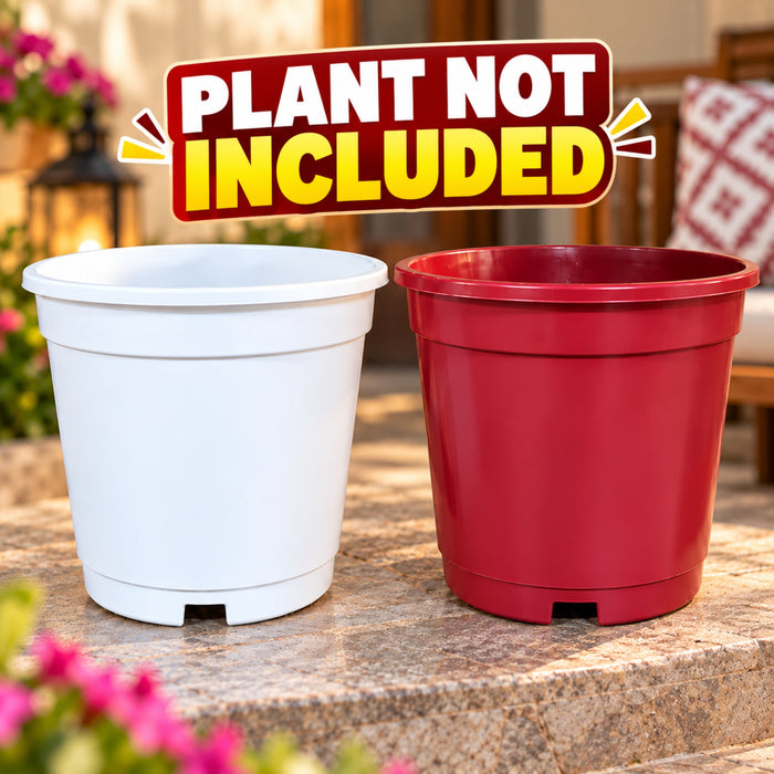 8 Inch Plastic Plant Pots Set of 2 – Decorative Indoor & Outdoor Garden Planters
