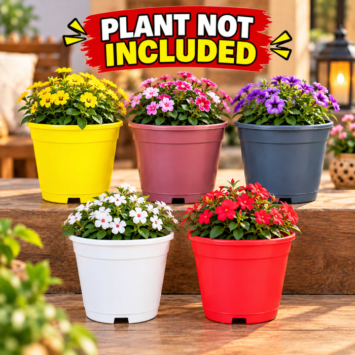 6 Inch Plastic Flower Pots – Colorful Round Plant Pots for Home, Balcony & Garden