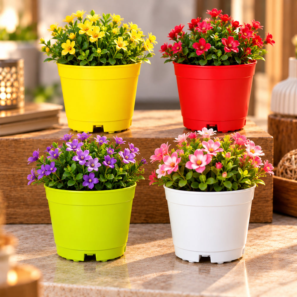 Plastic Plant Pots Set of 4 – 4 Inch Colorful Small Pots for Home, Office & Balcony