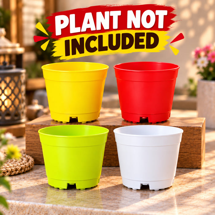 Plastic Plant Pots Set of 4 – 4 Inch Colorful Small Pots for Home, Office & Balcony