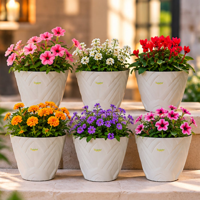 Set of 6 : White Lotus 8 Inches PP/ PVC / High Quality Plastic Planter