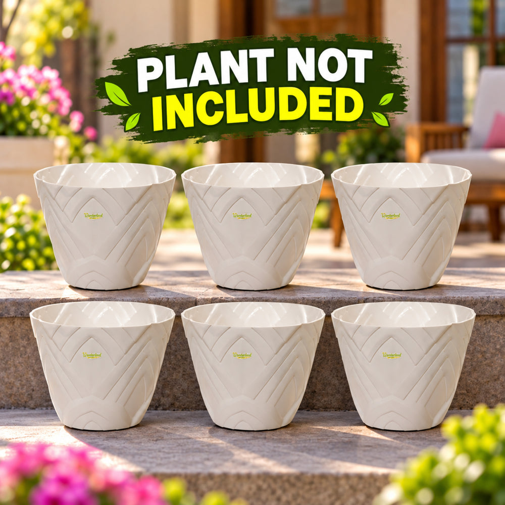Set of 6 : White Lotus 8 Inches PP/ PVC / High Quality Plastic Planter