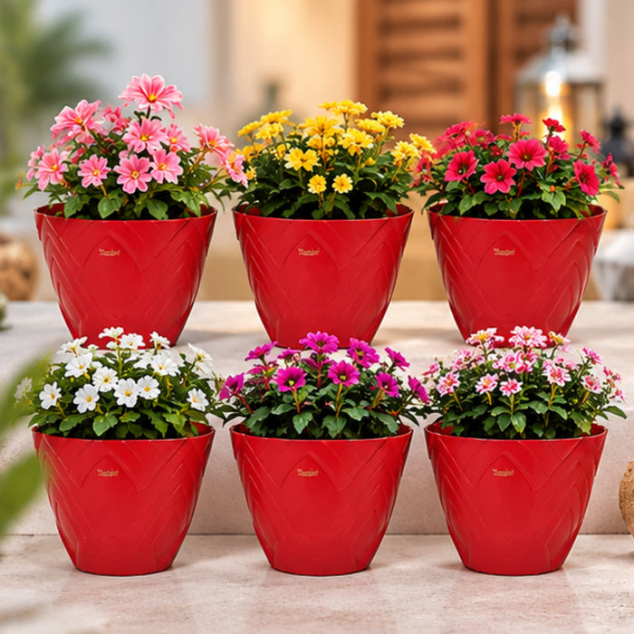Set of 6 : Red Lotus 8 Inches PP/ PVC / High Quality Plastic Planter