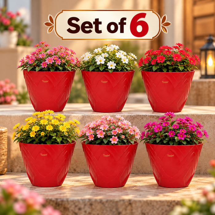 Set of 6 : Red Lotus 8 Inches PP/ PVC / High Quality Plastic Planter