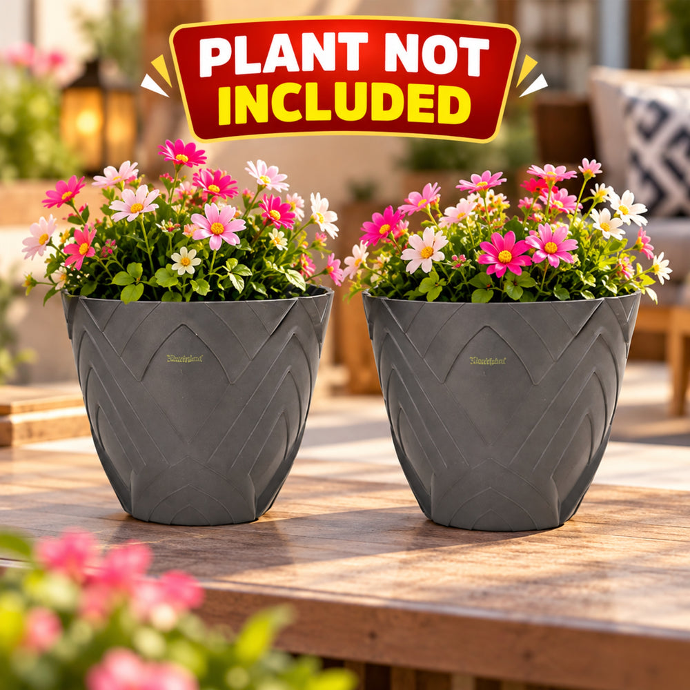 Set of 2 : Grey Lotus 8 Inches PP/ PVC / High Quality Plastic Planter