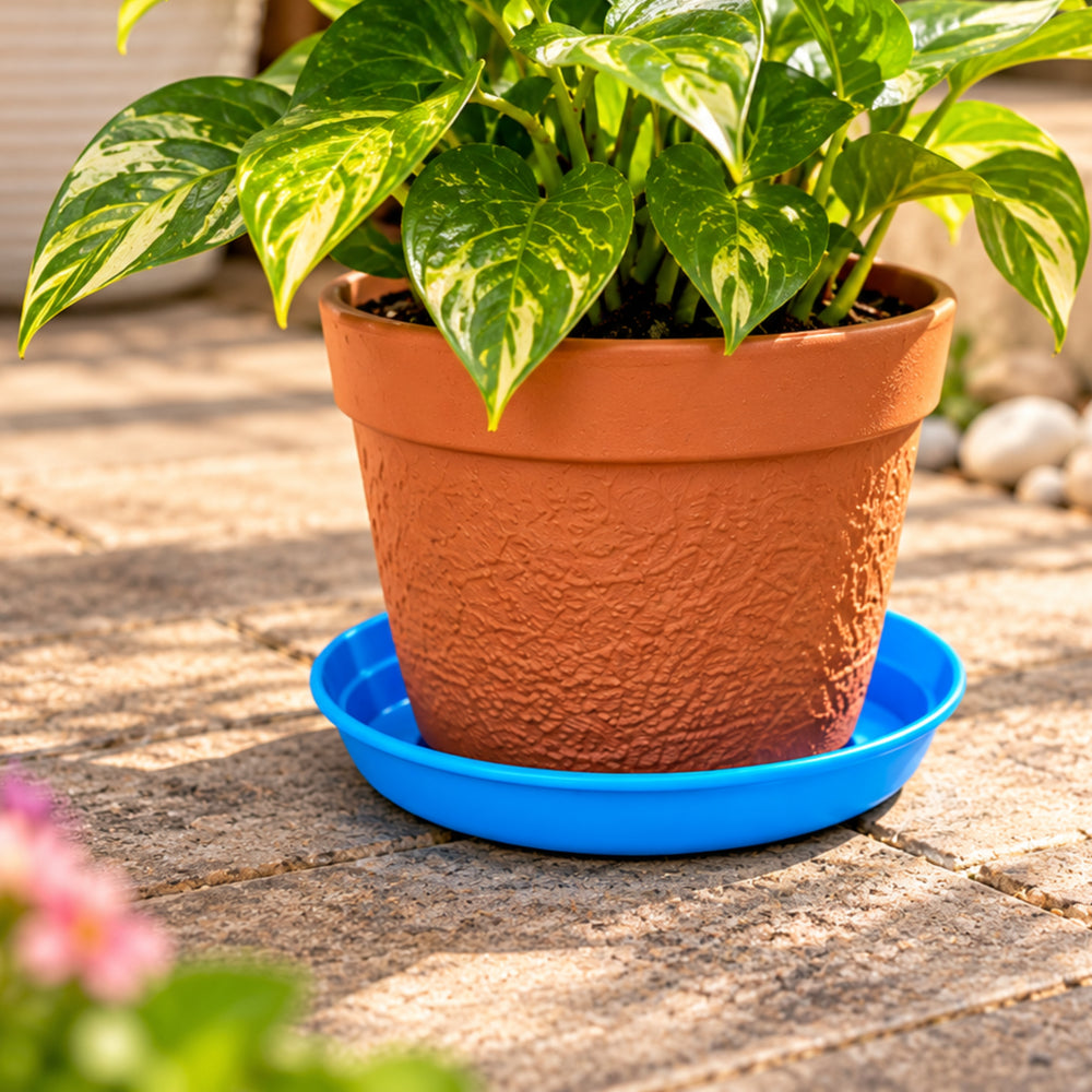 6 Inch Plastic Pot Plates Set of 6 – Colorful Plant Saucers for Indoor & Outdoor Pots