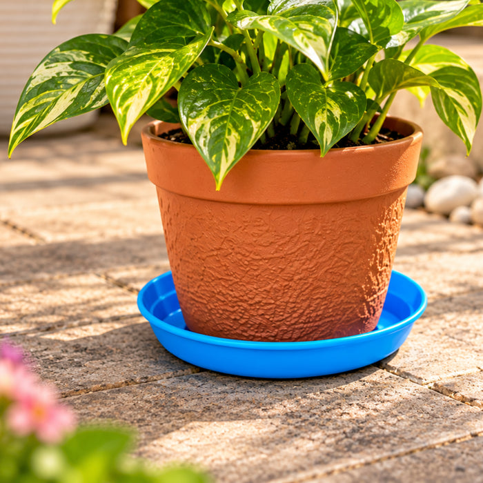 6 Inch Plastic Pot Plates Set of 6 – Colorful Plant Saucers for Indoor & Outdoor Pots