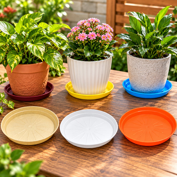 6 Inch Plastic Pot Plates Set of 6 – Colorful Plant Saucers for Indoor & Outdoor Pots