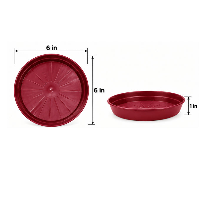 6 Inch Plastic Pot Plates Set of 6 – Colorful Plant Saucers for Indoor & Outdoor Pots