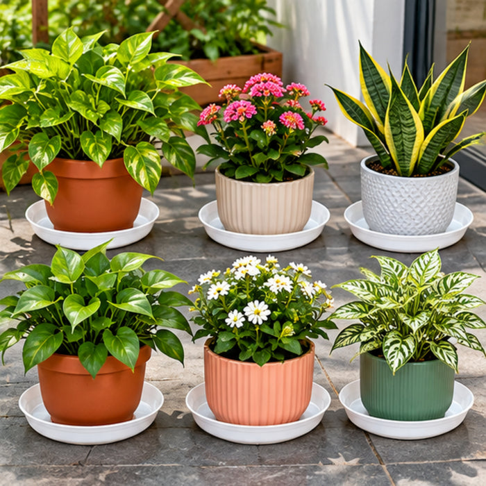 11 Inch Plastic Plant Saucer Tray Set of 6 – White Pot Plates for Indoor & Outdoor Plants