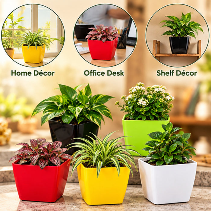 4 Inch Square Plastic Flower Pots Set of 5 – Multicolor Planters for Succulents & Herbs