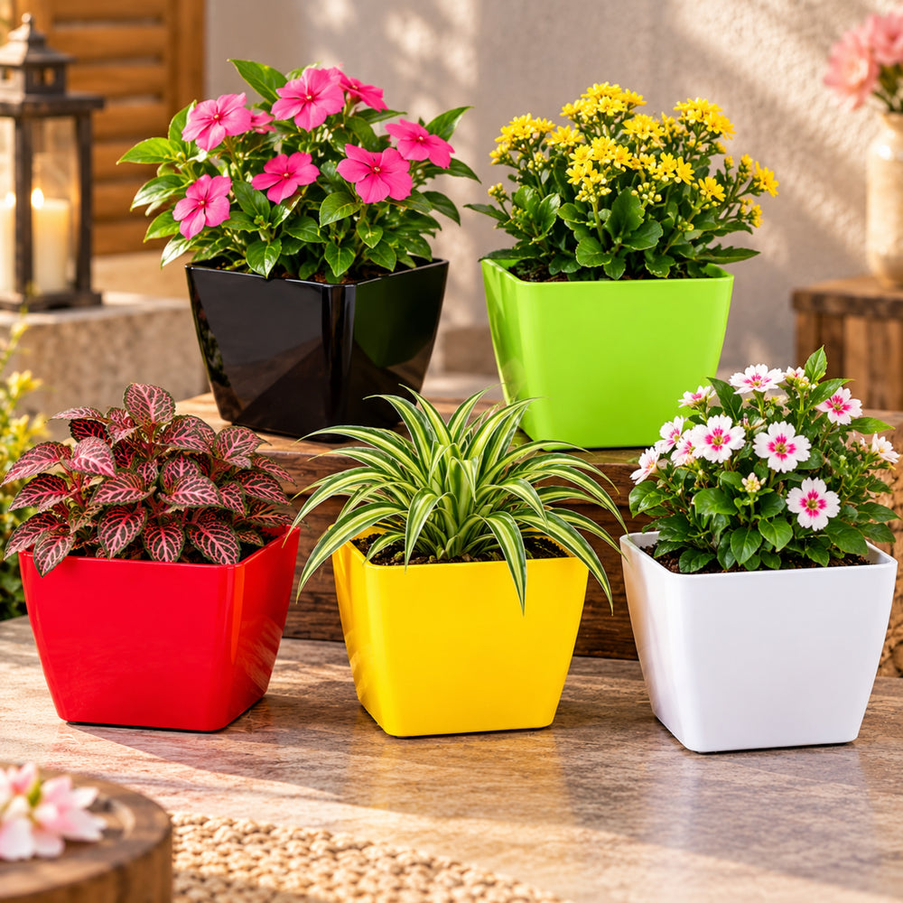 4 Inch Square Plastic Flower Pots Set of 5 – Multicolor Planters for Succulents & Herbs