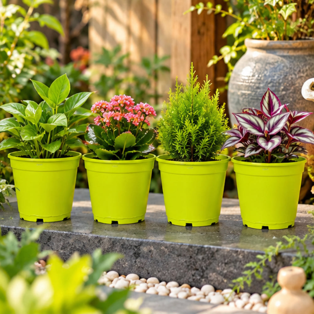 6 inch Set of 4 Small plastic pots for Outdoors ( Plastic Pots for Home Plants) (Green)