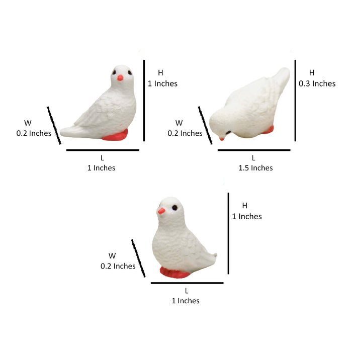 Wonderland imported miniatures ( pack of 6 ) pigeons