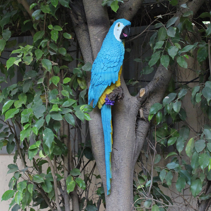 Wonderland Blue Parrot - Big Size to be put on wall, home decor, garden decor, home decoration, parrots, bird decor, balcony decoration, gift