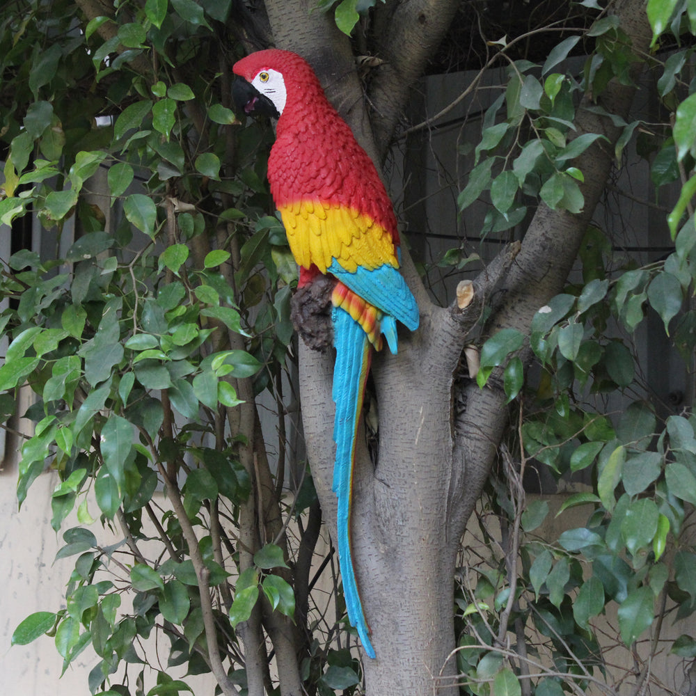 Red Parrot - Big Size to be put on wall,