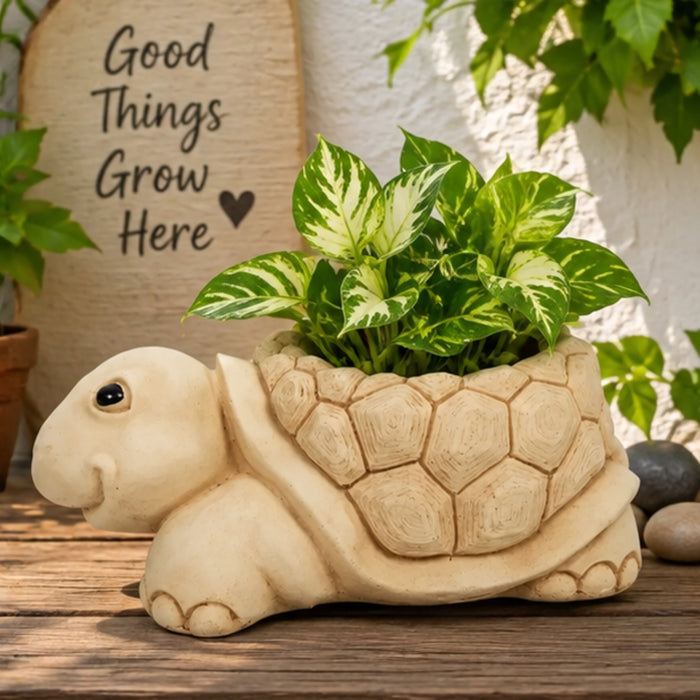 Tortoise Pot/Planters (Buddha Statue, Monk Statue, Garden Statue, Outdoor décor, Resin décor) (Feng Shui Items, Zen Garden)