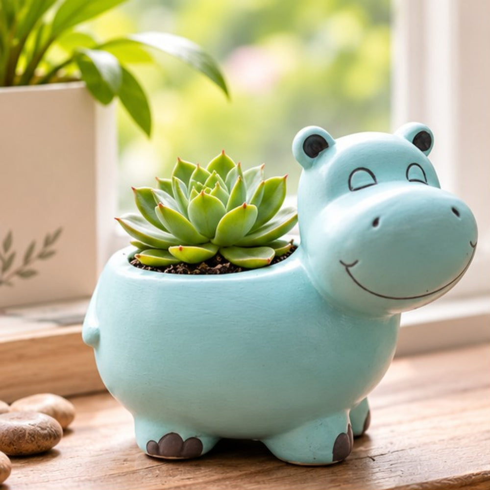 5 inch Adorable Hippo Ceramic Succulent Planter (Plant Not Included)