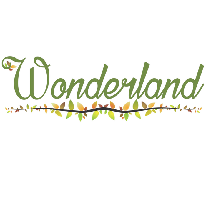 Wonderland Kawaii style ( set of 2) cartoon-Themed Keychains (My Melody & Cinnamoroll) Keyrings for Bags & Keys