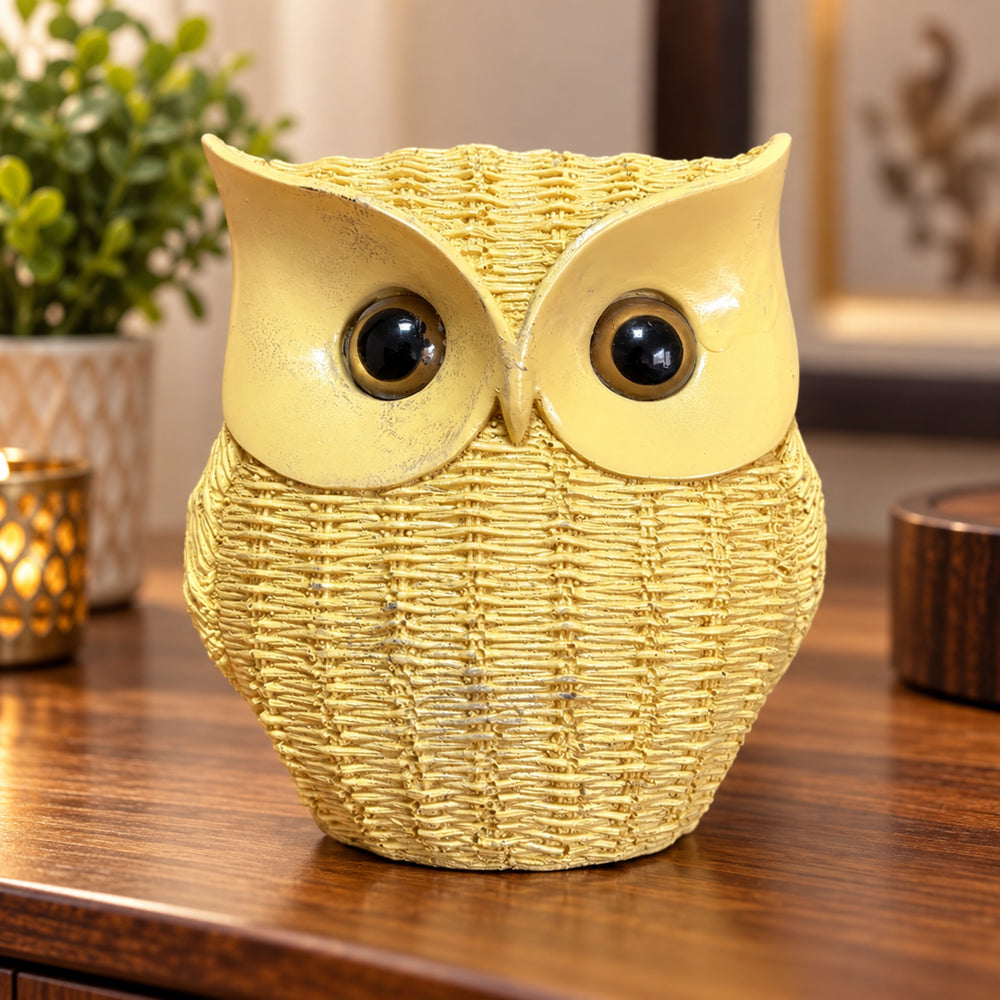 Enchanted Woven Owl Decor -