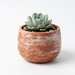 Handcrafted Rustic Terracotta Planter – 