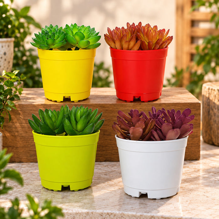 Wonderland set of 4 colorful plastic plant pots in yellow, red, light green, and white against a white background.