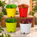 Wonderland set of 4 colorful plastic plant pots in yellow, red, light green, and white against a white background.