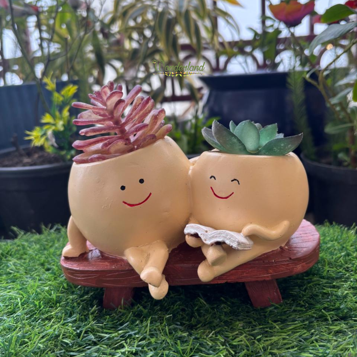 Wonderland Double Smiling Friends Succulent Pot – Whimsical Twin Character Planter for Mini Cactus & Indoor Greenery, Happy Home & Office Decor