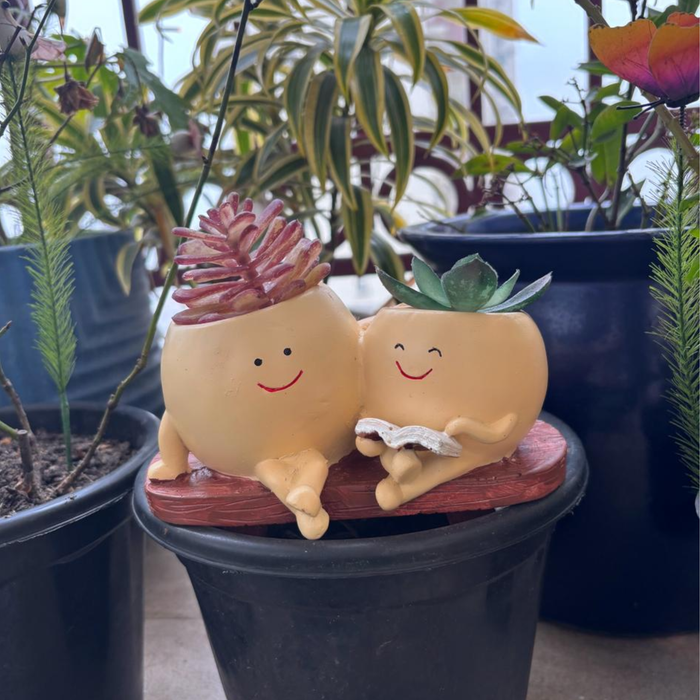 Wonderland Double Smiling Friends Succulent Pot – Whimsical Twin Character Planter for Mini Cactus & Indoor Greenery, Happy Home & Office Decor