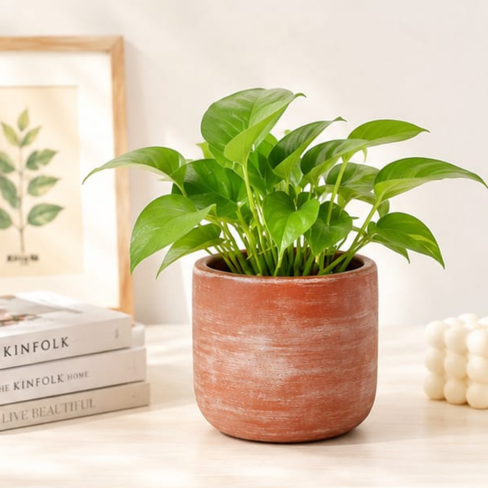 4 Inch Handcrafted Rustic Terracotta Planter