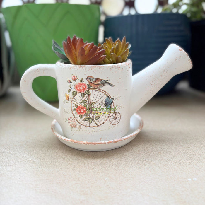 Wonderland Vintage-Style Ceramic Watering Can Planter with Decorative Bird & Bicycle Illustration – Indoor Flower Pot with Matching Saucer