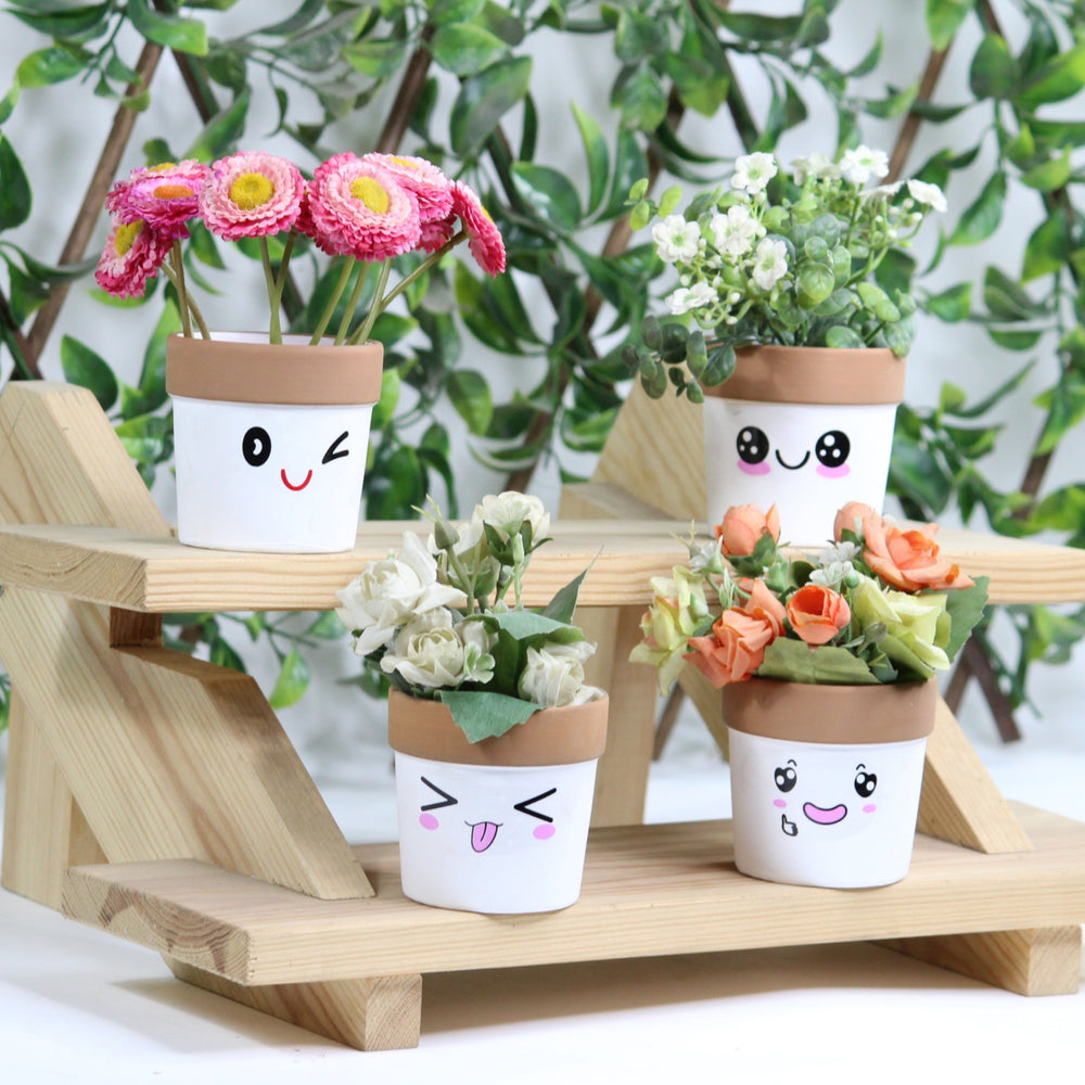 (set f 4) Imported Ceramic Small Cute  Face Expression Planter, It Will be Assorted