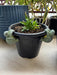 Set of two decorative green turtle pot hangers climbing on the rim of a black plastic flower pot with a small green plant.