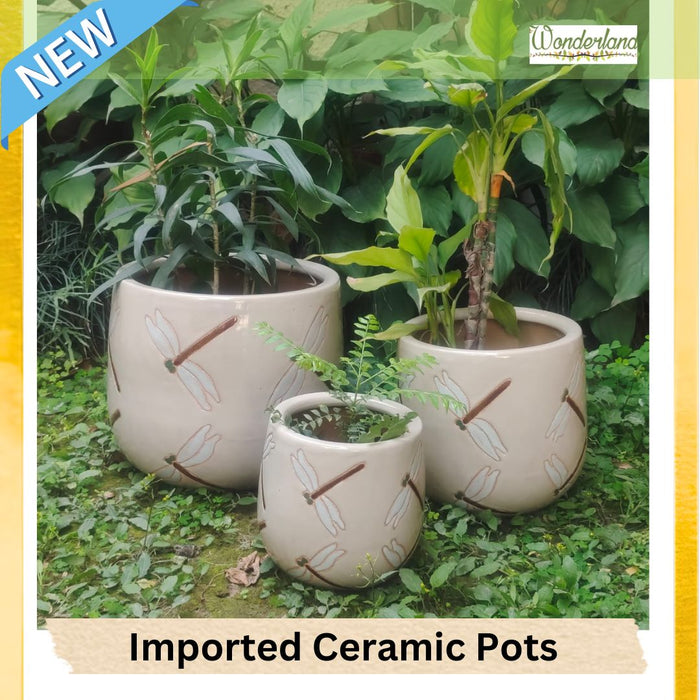 Wonderland Set of 3 Peach dragonfly Imported ceramic pots for exterior/ Outdoor