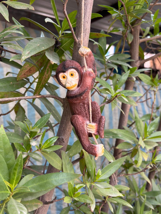 A small, dark brown resin monkey figurine hanging from a rope in a green leafy tree.