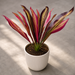 Artificial tropical plant with vibrant red and yellow striped leaves planted in a white ribbed pot on a grey tiled floor