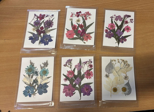 "Six handmade pressed flower cards displayed on a light wooden table next to a succulent plant and a small brass watering can."