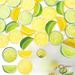 20-Piece Artificial Lime Slices 