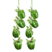 Pack of 2 Artificial Green Bell Pepper/ Capsicum  Hanging Strings 
