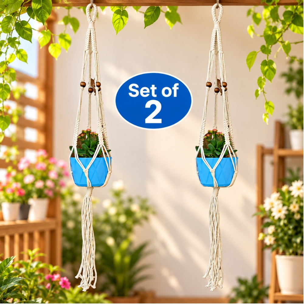 ( Pack of 2 Macrame Plant Hangers