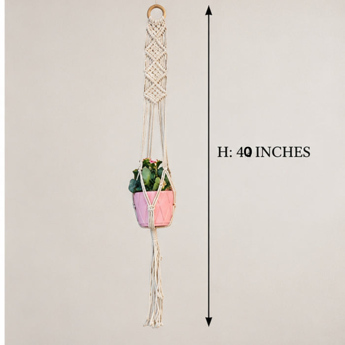 ( Pack of 2 Macrame Plant Hangers