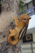 Resin climbing chipmunk garden statue mounted on a tree trunk holding a nut.