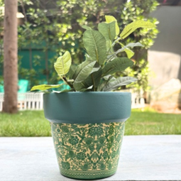 Handpainted Terracotta Planter with print design 