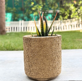 Terracotta Pot - Textured Finish  Plant Pot - For Indoor/Outdoor Décor (Gold)