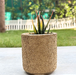 Handpainted Terracotta Planter with print design 