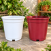Set of 2 decorative plastic plant pots in white and red for indoor and outdoor gardening