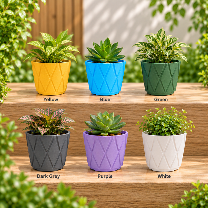 Six 4-inch geometric plastic planter pots in yellow, blue, green, dark grey, purple, and white displayed together on a wooden surface for indoor and outdoor plants.