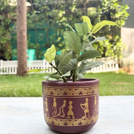 Handpainted Terracotta Planter with print design 