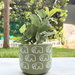 Handpainted Terracotta Planter with print design 